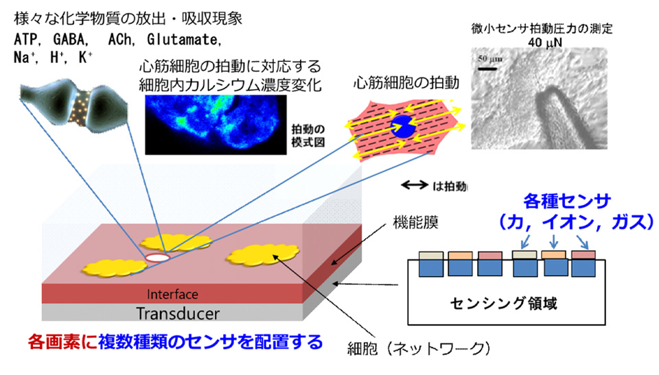 研究開発課題 | マルチモーダルセンシング共創コンソーシアム - 産学共